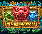 Temple Of Nudges